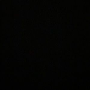 Meet your Posher, Gracie